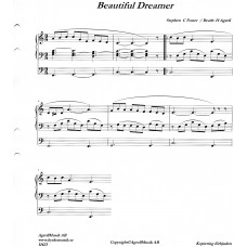 Beautiful dreamer / Stephen C Foster